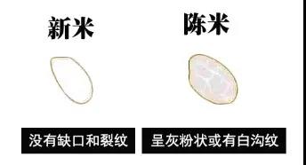微信图片_20200725092716.jpg