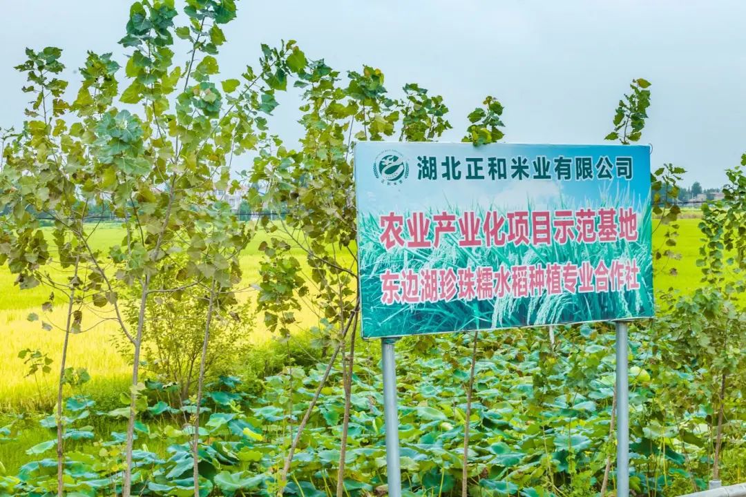 微信图片_20220403153549.jpg